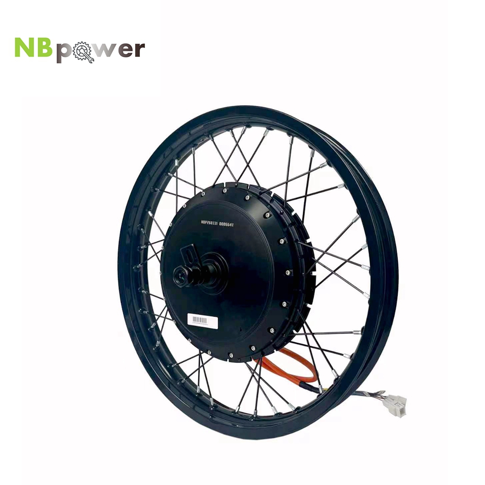 NBpower/170mmドロップアウトQS 273 40H - Qs Motor 273 8000W Hub Motor のレビューと価格